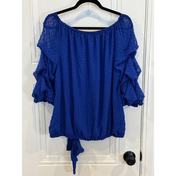 CeCe XL Royal Blue Clip-Dot Ruffle-Sleeve GUC Tie Hem Lined Body Work 2 Weekend - Picture 2 of 7